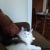 donna1963thomas